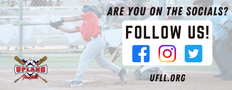 Follow Us on Social Media